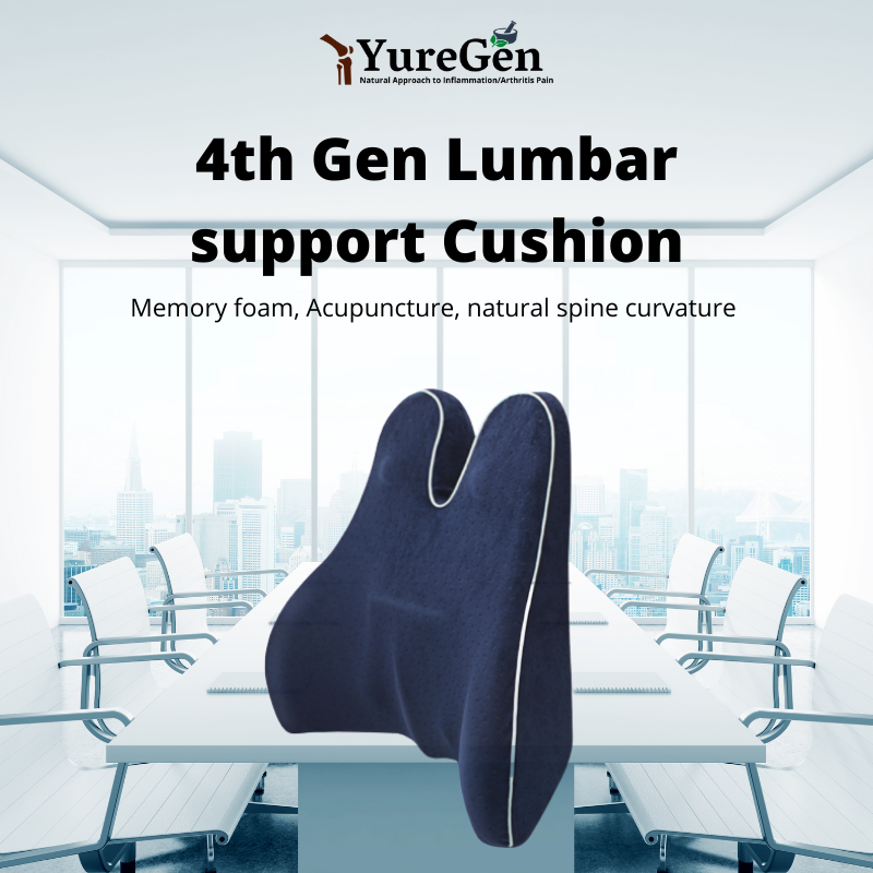 Goodyear+GY1014+Tall+Lumbar+Cushion for sale online