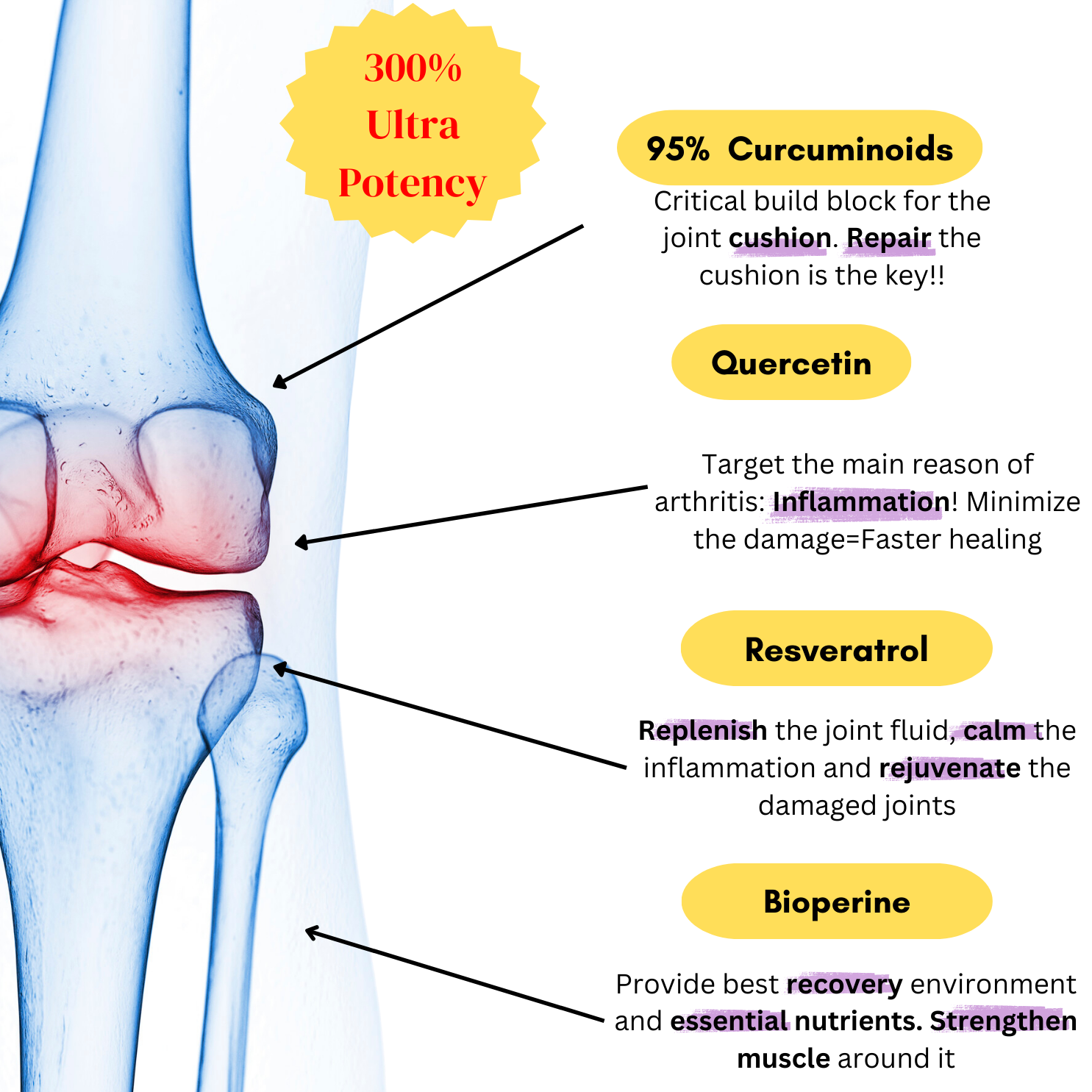 Deflame® Curcumin-Ultra Joint Anti-Inflammatory Formula