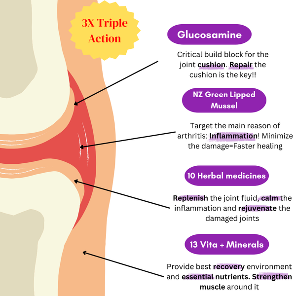 FREE 3 days supply of Joint Solution Lite